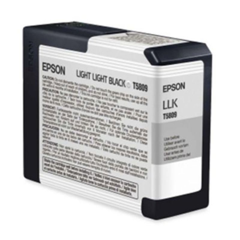 Bläckpatron EPSON C13T580900 lj.lj.sva