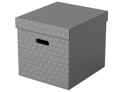 Förvaringsbox ESSELTE Home kub grå 3/fp