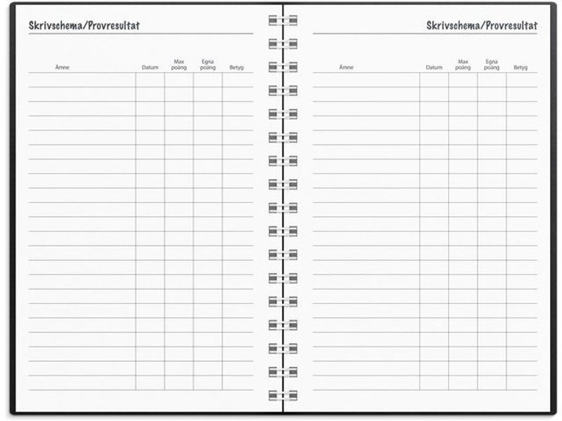 Lilla Studieåret Basic 24/25