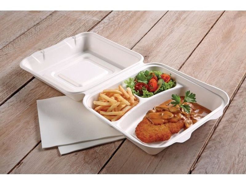 Matlåda takeaway-box Bagasse 25/fp