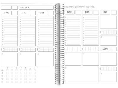 Kalender Balance Log odaterad - 1049