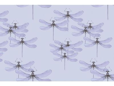 Presentpapper 70cmx10m Dragonfly