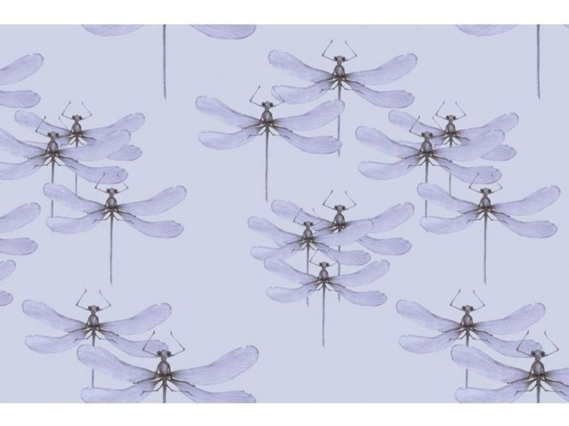 Presentpapper 70cmx10m Dragonfly