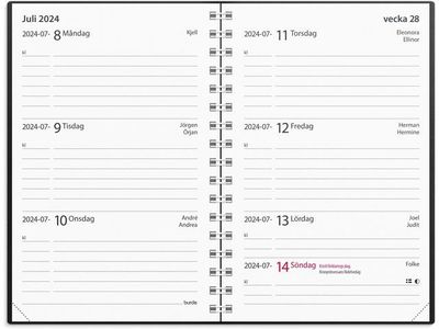 Lilla Studieåret Basic 24/25