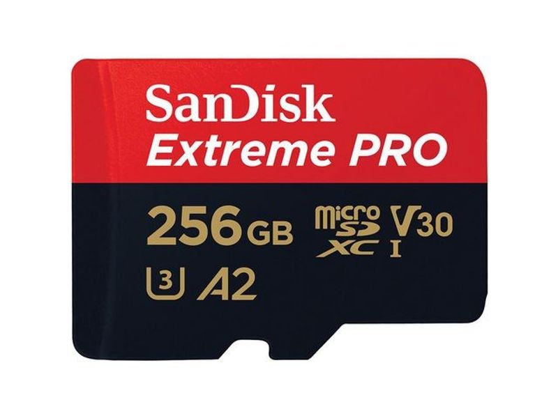 Minneskort SANDISK MicroSDXC E. Pro256GB