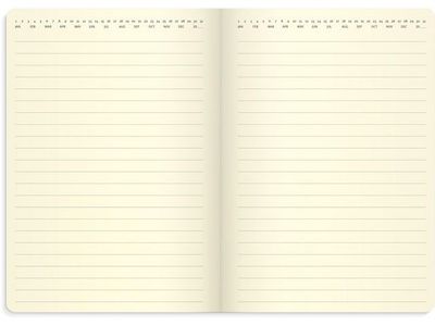 Kalender Forma Deluxe 24/25