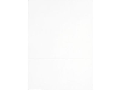 Standardblankett talong vit 2500/fp