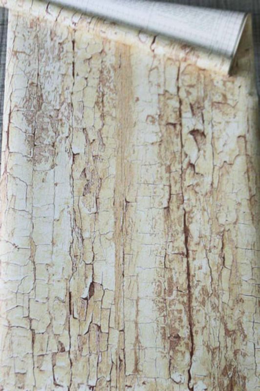 Dekorplast - Tree Shell - 200x45 cm