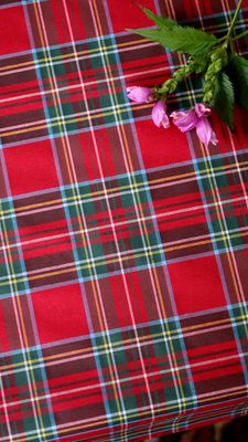 Vaxduk i textil akrylatbehandlad - Skotskrutig