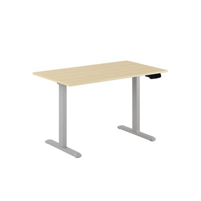 Up & Down Ergo - 2 motorer