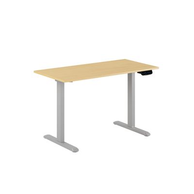 Up & Down Ergo - 2 motorer