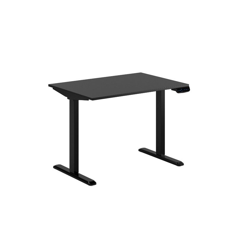 Up & Down Ergo - 2 motorer