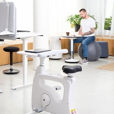 Balansboll EASY - 3 storlekar