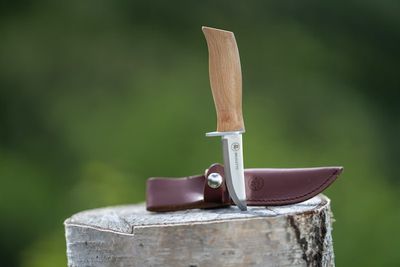 BRUSLETTO SPEIDER