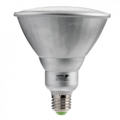 ESL PAR38 E27 23 watt 2 pack