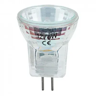 Halogen Mr8