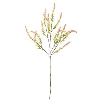 Stjälk Rosa Konstgjorda blommor Foxtail | Bloomingville