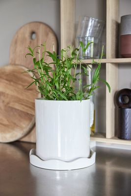 OYOY Nami Kruka med Fat Vit Stengods Ø16.5 cm