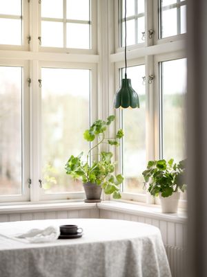 PR Home Tulippa tak/fönster Grön 17cm