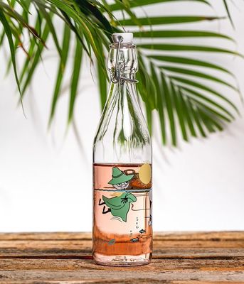 Muurla Mumin Glasflaska Fun in the Water 0,5 L