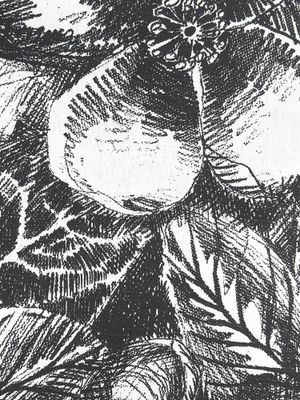 Svanefors Sonia Duk Svartvit 140x250 cm