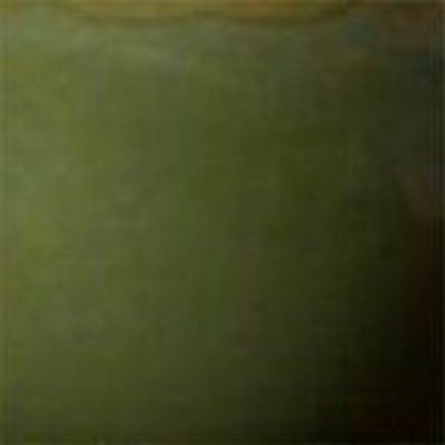 PR Home Nell Bordslampa Mossa grön, 34cm