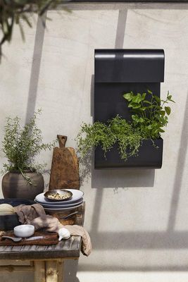 Planta Vägglampa Svart 70x40cm Svart | PR Home