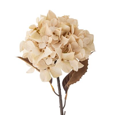 Stjälk Natur Konstgjorda blommor Hydrangea | Bloomingville