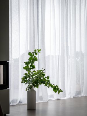 Diana Gardin Off White 280x300cm | Svanefors