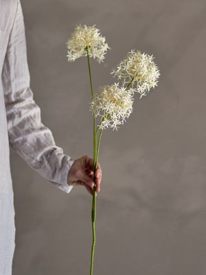Stjälk Vit Konstgjorda blommor Allium | Bloomingville