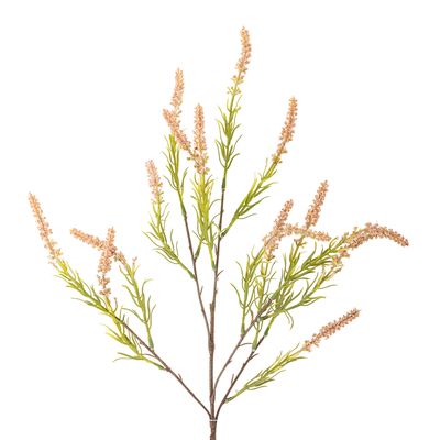 Stjälk Rosa Konstgjorda blommor Foxtail | Bloomingville
