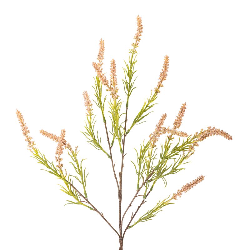 arapq5pa001c0b5jyuco