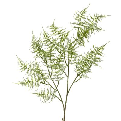 Stjälk Grön Konstgjorda blommor Fern | Bloomingville