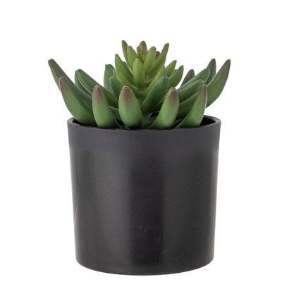 Växt Grön Konstgjorda blommor Echeveria | Bloomingville