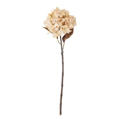 Stjälk Natur Konstgjorda blommor Hydrangea | Bloomingville