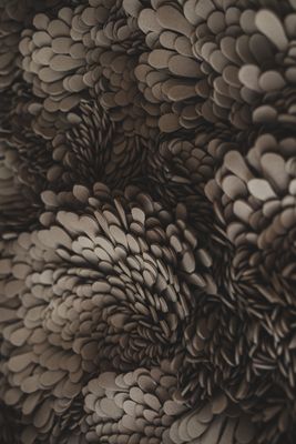 Jakobsdals Art Vida Tavla 80x80 cm Offwhite