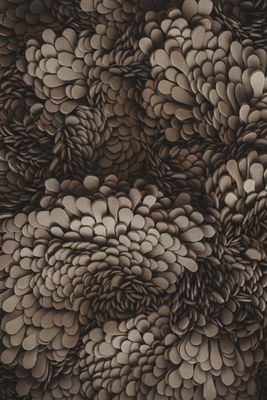 Jakobsdals Art Vida Tavla 80x80 cm Offwhite