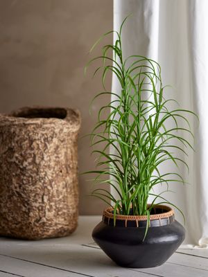 Växt Grön Konstgjorda blommor Grass | Bloomingville