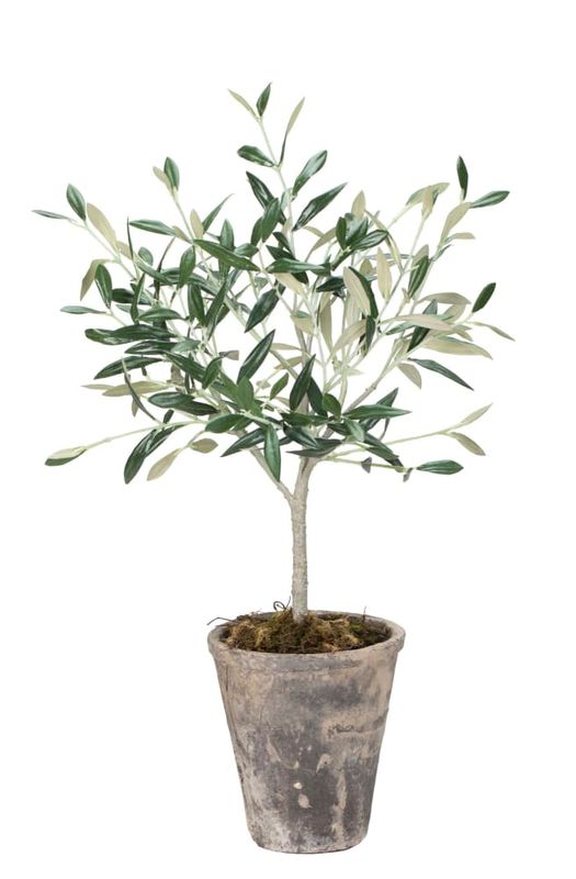 Blomma Flora Grön Plast Lene Bjerre