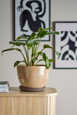 Kruka Brun Stengods Ritva | Bloomingville