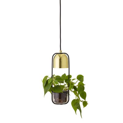 Gullak Pendellampa Guld Metall Ø10cm Bloomingville