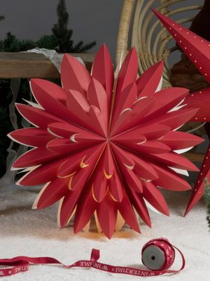 PR Home Hyacint star Röd 50cm