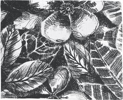 Svanefors Sonia Duk Svartvit 140x250 cm