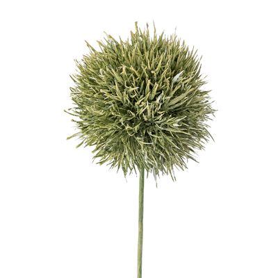 Stjälk Grön Konstgjorda blommor Allium | Bloomingville