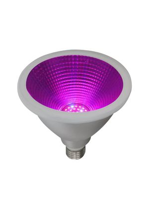 PR Home Grow LED IP65 E27 30° E27 PAR38 13W