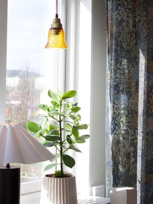 PR Home Emmi Fönsterlampa Amber/mässing 12cm