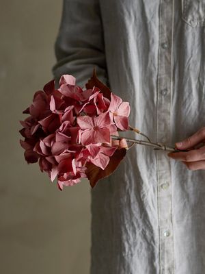 Stjälk Rosa Konstgjorda blommor Hydrangea | Bloomingville