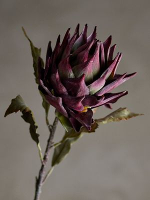 Stjälk Lila Konstgjorda blommor Protea | Bloomingville