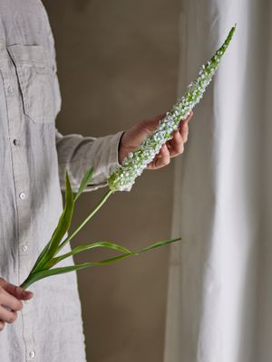 Stjälk Vit Konstgjorda blommor Foxtail | Bloomingville
