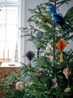 Prydnad Guld Furu Nikita Set om 6 | Bloomingville